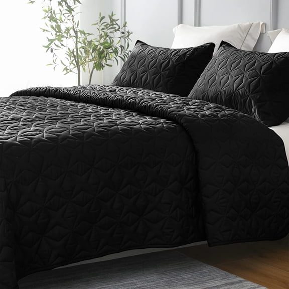 Whale Flotilla Quilt Set Queen Size, Soft Microfiber Lightweight Bedspread Coverlet Bed Cover (Star Pattern) for All Seasons, Black, 3 Pieces (Includes 1 Quilt, 2 Shams)