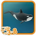 thumbnail image 2 of Schleich - 14807 | Wild Life: Killer Whale, 2 of 6