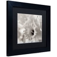 thumbnail image 2 of Trademark Fine Art "Florison 45" Canvas Art by Alan Blaustein, Black Matte, Black Frame, 2 of 4