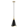 thumbnail image 2 of 60/7476-Nuvo Lighting-Tango - 1 Light Large Pendant In Mid-Century Modern Style-20.13 Inches Tall and 15 Inches Wide-Matte Black/Burnished Brass, 2 of 4