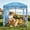 Light Blue, variant on Aidoly 6x6ft Beach Cabana, Expansive Beach Canopy with Attached Side Panel, UPF 50+ Sun Block, Quick-Pitch Sun Shelter, Lightweight Portable Beach Tent for Whole Family, Starfish Shell