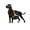 Brown-without LED, variant on Great Dane dog Vinyl Record Wall Clock for Kitchen Wall Decor Wall Art Gift for Lover Gift Idea for a Best Friend(P)