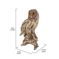 thumbnail image 5 of STATUE de Chouette sur Souche DRIFTWOOD, 5 of 5