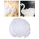 thumbnail image 5 of Plumas de pollo de sueltas de 100pcs 5-10 cm para bodas de bricolaje, perfecl Atrapasueños, 5 of 8