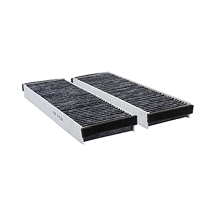 Baldwin PA10196-KIT Set Of 2 Cabin Air Elements