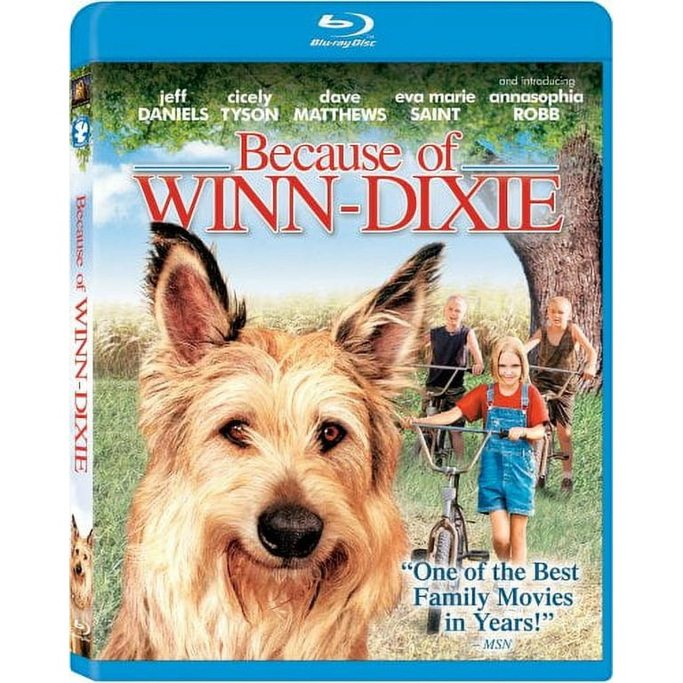 Because of Winn-Dixie