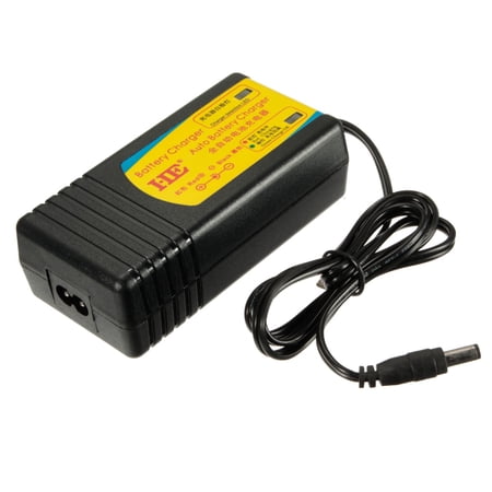 12v float charger