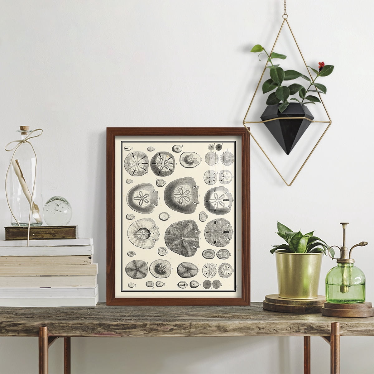 Aegean Collection II -Framed Print w/glass-Chestnut
