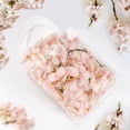 thumbnail image 6 of Liulin 1Pc Clear Gift Bags with Handles, Reusable Small Plastic Party Favor Bags, Transparent PVC Goodie Bags for Wedding, Baby Shower, Birthday, Mother's Day and Boutique, 5.1" x 2.8" x 5.9", 6 of 9