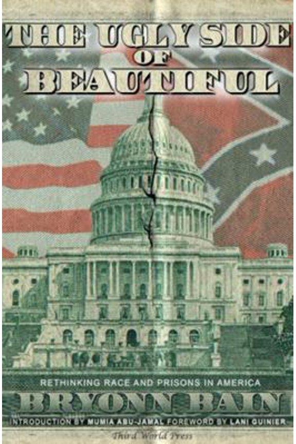 Pre-Owned The Ugly Side of Beautiful: Rethinking Race and Prison in America (Paperback) 0883783444 9780883783443