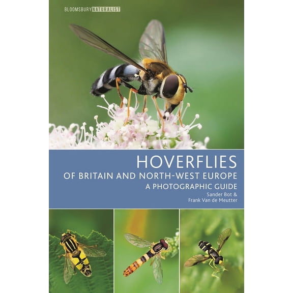 Bloomsbury Naturalist: Hoverflies of Britain and North-west Europe : A photographic guide (Paperback)