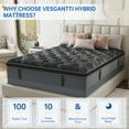Behost Twin Mattress, 10 Inch Hybrid Innerspring, Pillow Top