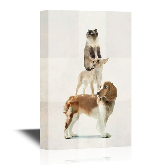 wall26 - Vet Canvas Wall Art - Funny Dogs and Cats Pet Theme Wall Art - Gallery Wrap Modern Home Art | Ready to Hang - 12x18 inches
