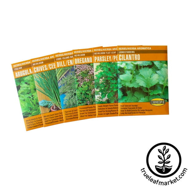 Bilingual Basic Culinary Herb Garden Seeds Collection 6 Seed Packets Cornucopia English Spanish Instructions Arugula Parsley Oregano Dill Cilantro Chives Semillas Espanol E Ingles Walmart Com Walmart Com