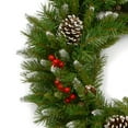 thumbnail image 2 of National Tree Company 24 Inch Artificial Frosted Berry Holiday Wreath, 2 of 5