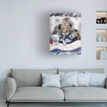 thumbnail image 2 of Trademark Fine Art Jenny Newland Kittens And Teddy Bear Canvas Wall Art - 14x19, 2 of 4