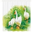 thumbnail image 3 of Ambesonne Duck Shower Curtain, Goose Farm Lake Plants, 69"Wx84"L, Green and White, 3 of 5