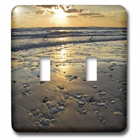 3dRose Beach seashells, Padre Island, Gulf of Mexico, Texas - US44 LDI0021 - Larry Ditto - Double Toggle Switch