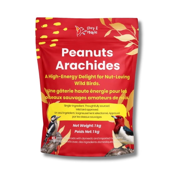 Chirp & Maple, Premium No Shell Peanuts for Wild Birds - Unsalted Raw Kernels, High Protein Wild Bird Food Attracts Blue Jays & Woodpeckers, 1KG Bag