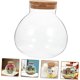 thumbnail image 2 of 8 pcs Candy Garden Jar Round Home Landscape Container Stopper Globe Cork Cm Ecological for Cloche Small Glass Jars Spherical Ball Bottle Micro DIY Moss Micro-landscape, 2 of 5