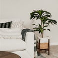 thumbnail image 3 of Dracaena Indoor Plant - Faux Plants Indoor, Silk Plants for Home Decor Indoor, Floor Plants for Living Room Decor - Faux Plants Indoor Tall, Floor Plant, Fake Plants for Living Room Decor - 3.2 Feet, 3 of 6