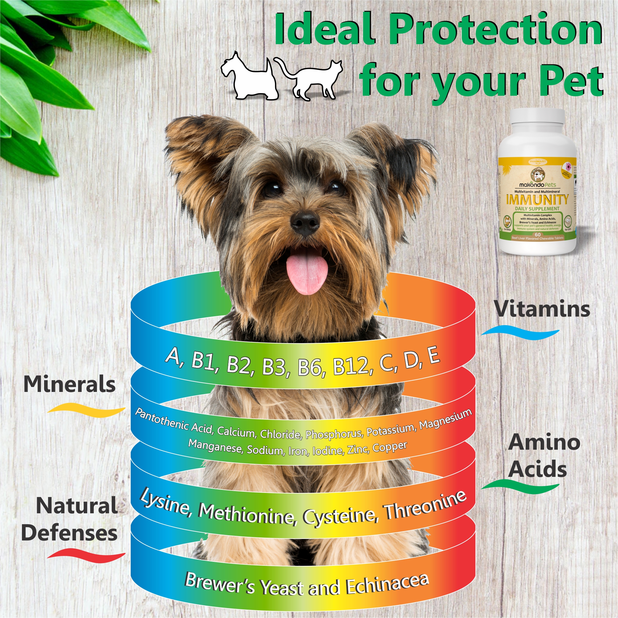 How Can I Boost My Dogs Immune System Naturally