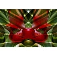 thumbnail image 2 of Bush, Marie 32x23 White Modern Wood Framed Museum Art Print Titled - Canada, Victoria Montage of bromeliad flower, 2 of 4