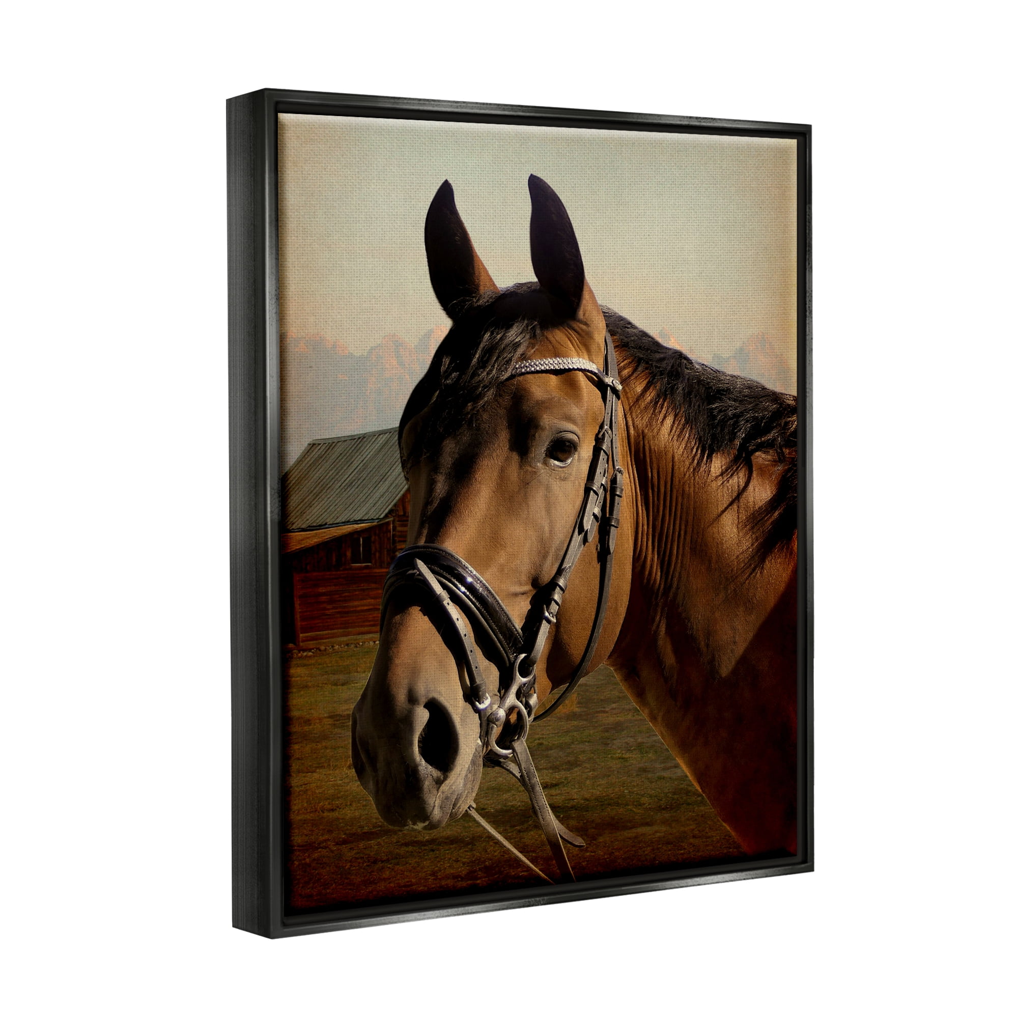 Stupell Industries Brown Horse Portrait Animals & Insects Photography Black Floater Framed Canvas Art Print Wall Art, 25 x 31