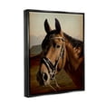 thumbnail image 4 of Stupell Industries Brown Horse Portrait Animals & Insects Photography Black Floater Framed Canvas Art Print Wall Art, 17 x 21, 4 of 10