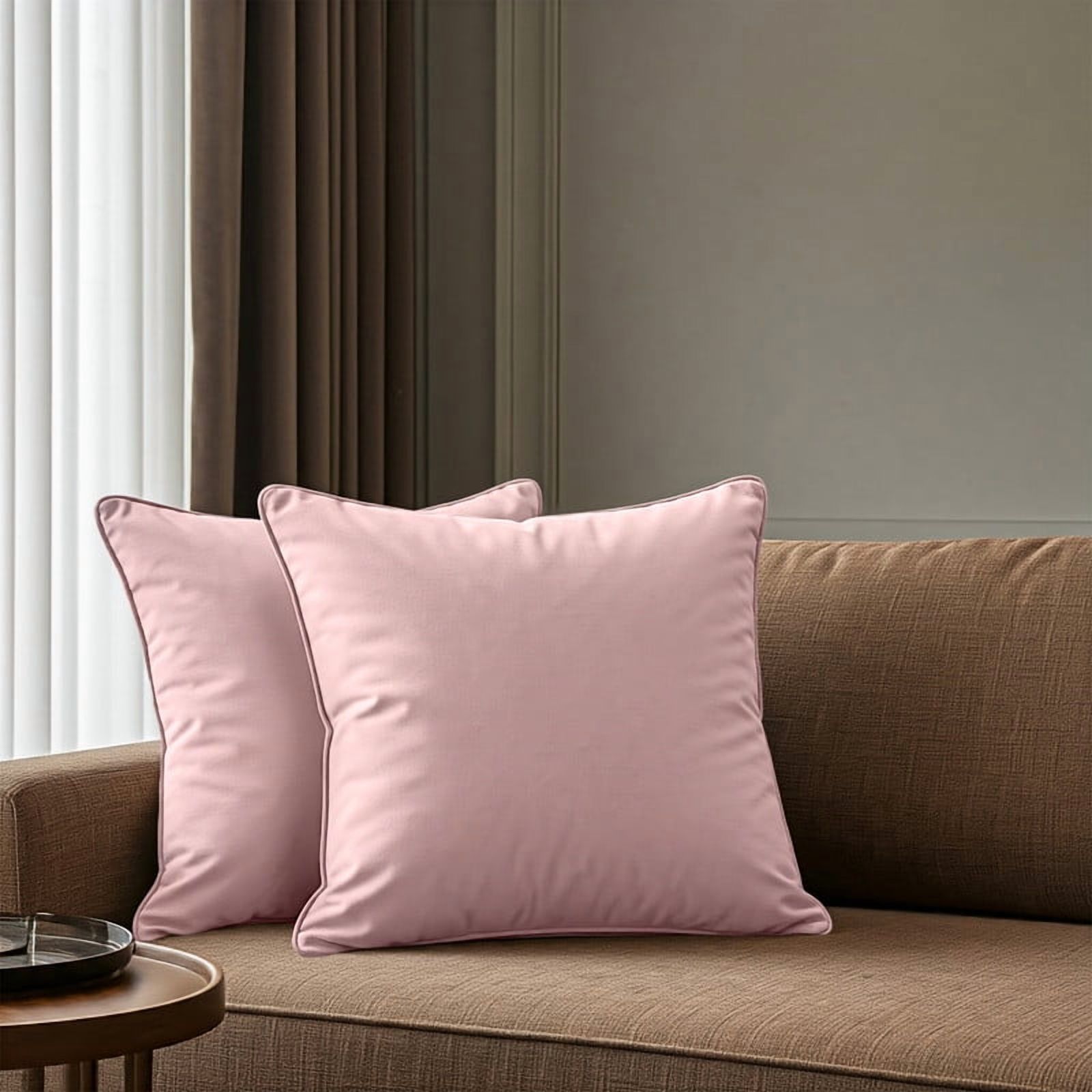 A1HC Set of 2 Luxurious Soft Velvet Throw Pillow Covers Only, 22"x22", Pink, Decorative Cushion Covers with Hidden YKK Zipper for Sofa or Bed