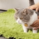 thumbnail image 4 of Dog Kennel Cats Cushion Fall And Winter Warm Dog Cushion Cushion Dog Bed Comfortable Cats Kennel Dog Kennel Pet Supplies Long Hair Velvet Pet Cushion, 4 of 6