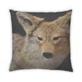 thumbnail image 2 of Ahgly Company Coussin Extérieur Animaux Loup, 18 Pouces par 18 Pouces, 2 of 6
