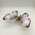 thumbnail image 3 of Steampunk Butterfly Neoris Hewitsoni Metal 3D Puzzle Model Kit for Collection Deco, 3 of 9