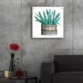 thumbnail image 5 of Epic Art 'Mud Cloth Succulent II' by Cindy Jacobs, Acrylic Glass Wall Art, 24"x24", 5 of 8