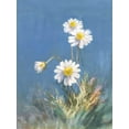 thumbnail image 2 of Nai, Danhui 15x18 White Modern Wood Framed Museum Art Print Titled - White Daisies No Butterfly, 2 of 4