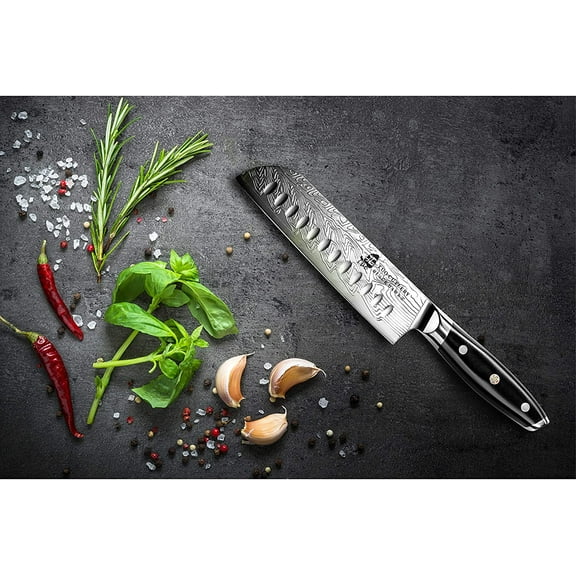 TUO Santoku Knife - Japanese Chef Knife 7-inch High Carbon Stainless Steel - Kitchen Knives with G10 Full Tang Handle - Black Hawk-S Knives Including Gift Box