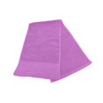thumbnail image 3 of AMLESO Yoga Towel Fast Drying Towel Soft Travel Towel Non Slip Gym Towel Workout Towel for Biking Backpacking Beach Hot Yoga Camping Purple, 3 of 10