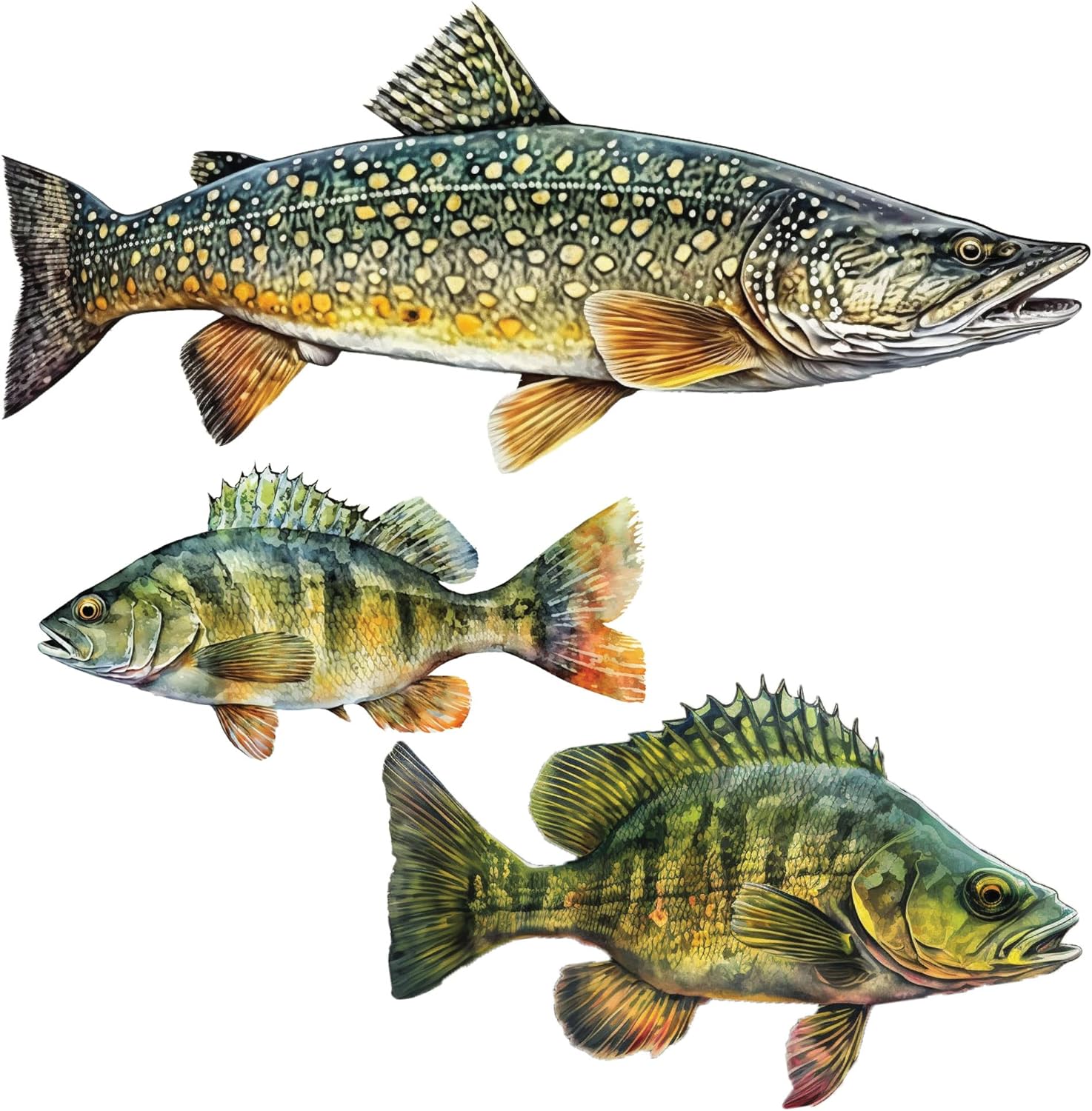 Fish Wall Decals - Brown Trout, Walleye, Yellow Perch, Northern Pike - Wall Stickers - Fly Fishing Decor