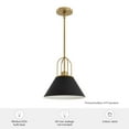 thumbnail image 7 of Hunter - Carrington Isle 1-light Matte Black, Medium Size Pendant Light, Dimmable, Transitional Style, Cone Shaped, for Bedrooms, Dining, Living Rooms - 13163, 7 of 7