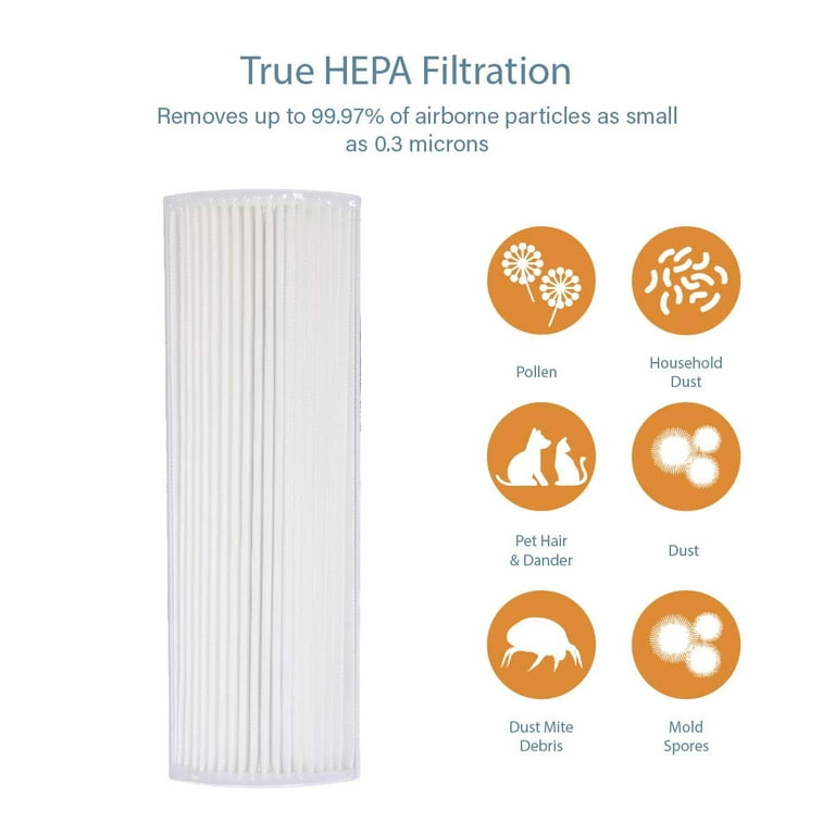 Therapure tpp220h replacement sale filter