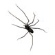 thumbnail image 2 of Decoración de calcomanías para el refrigerador de araña para decoración del exterior del refrigerador al aire libre accesorio de cocina para la cocina, 2 of 9