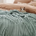 thumbnail image 4 of Manta Bedsure GentleSoft, forro polar de franela, tamaño queen, color verde salvia, 4 of 7