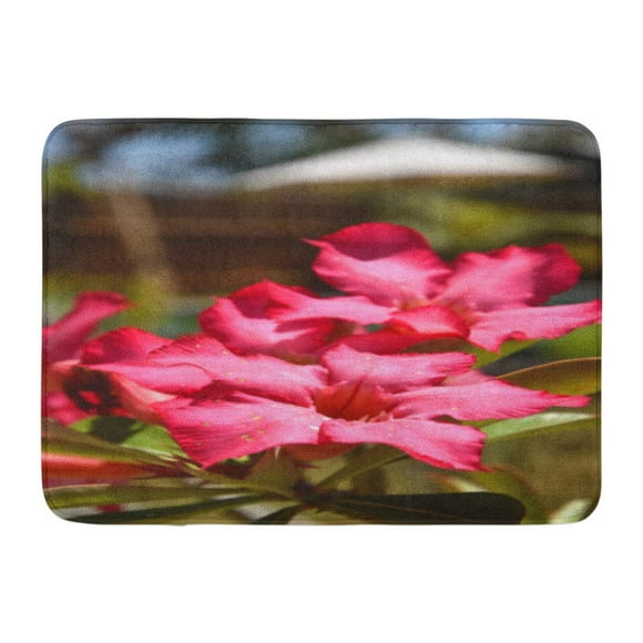 YUSDECOR Colorful Flashy Pink Adenium Obesum Blossom Also Known As Desert Rose with Golden Sprinkles on Sunny Day Rug Doormat Bath Mat 23.6x15.7 inch