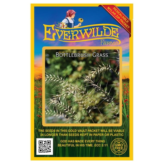 Everwilde Farms - 200 Bottlebrush Grass Native Grass Seeds - Gold Vault Jumbo Bulk Seed Packet