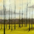 thumbnail image 2 of Goldberger, Jennifer 12x12 White Modern Wood Framed Museum Art Print Titled - Sunlit Treeline II, 2 of 4