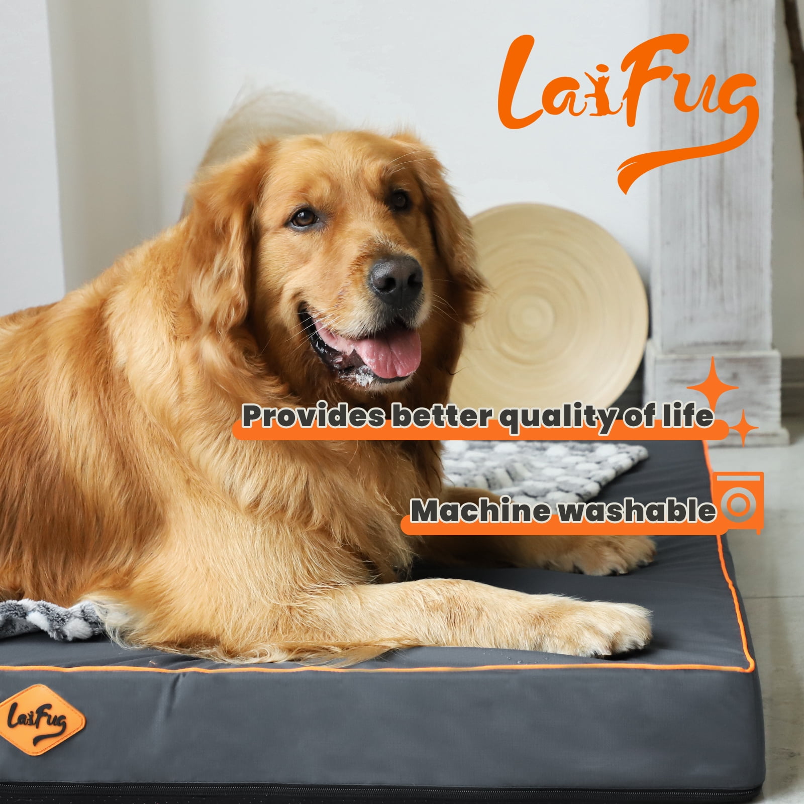 Laifug Washable Dog Bed Waterproof Fabric Egg Crate Foam Supportive Pet Bed 36" x 27"x3" Non-Slip Bottom