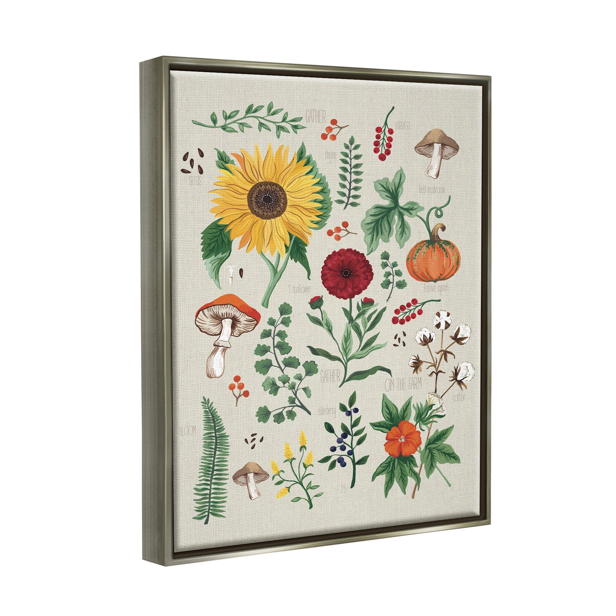 Stupell Industries Botanical & Seeds Study Botanical & Floral Painting Gray Floater Framed Canvas Art Print Wall Art, 17 x 21
