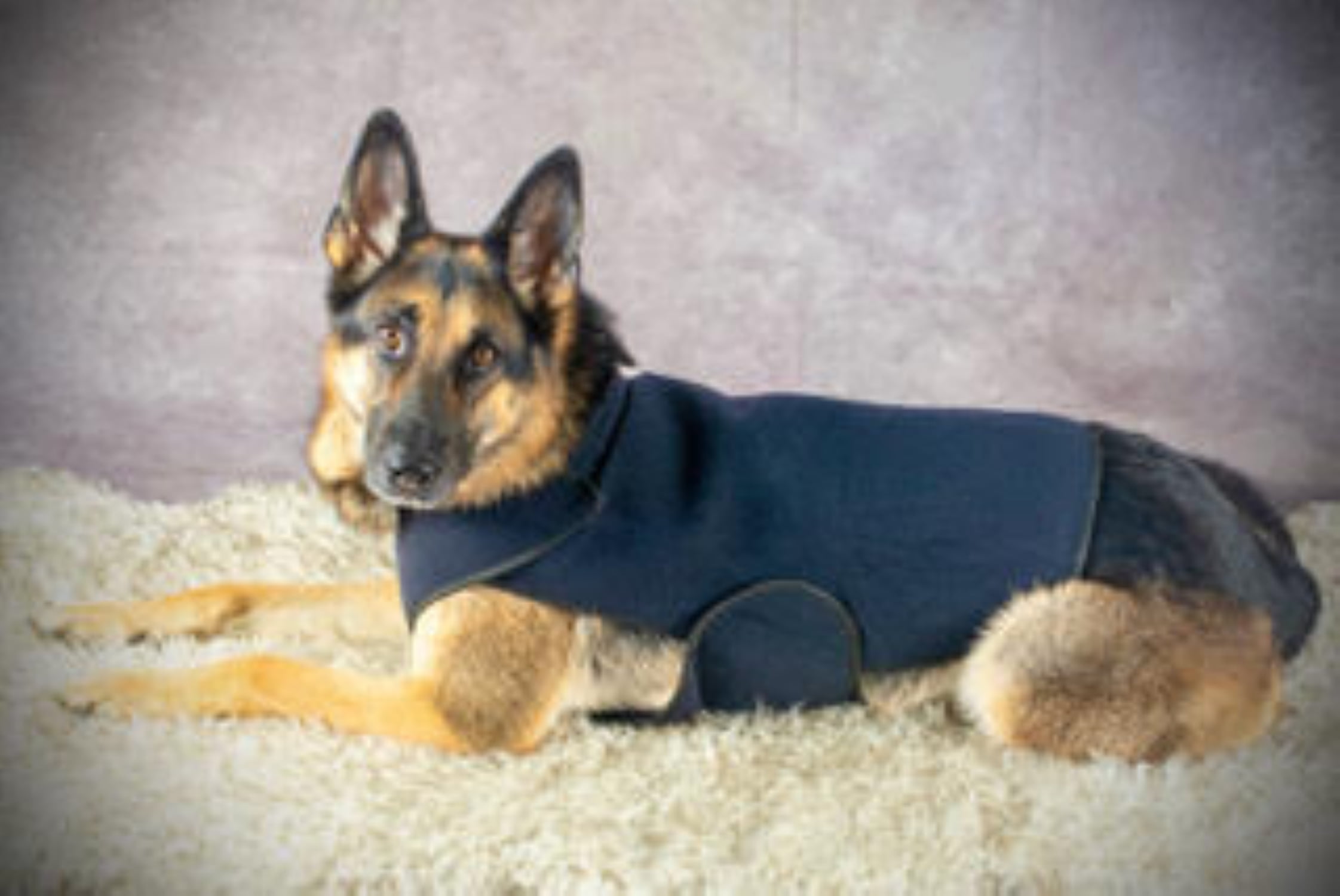 Healers Dog Anxiety Vest and Body Wrap,Front Module, helps reduce anxiety and protect pet post surgery, Pet Apparel,Small