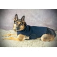 thumbnail image 6 of Healers Dog Anxiety Vest and Body Wrap,Front Module, helps reduce anxiety and protect pet post surgery, Pet Apparel,XXS, 6 of 7