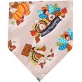 thumbnail image 3 of Bandana Réversible Triangle pour Chien de l'Action de Grâce Accessoires pour Chiens Chats Animaux, 3 of 5